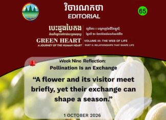 វិចារណកថា ៦៥ – ការលម្អងផ្កា គឺជាការផ្លាស់ប្តូរ