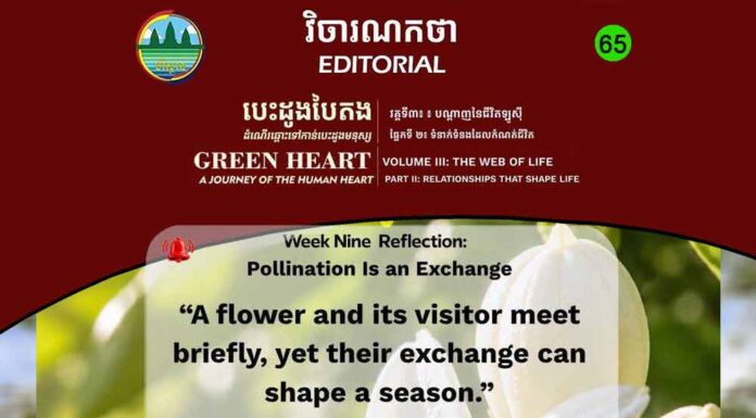 វិចារណកថា ៦៥ – ការលម្អងផ្កា គឺជាការផ្លាស់ប្តូរ